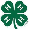 4-H clover